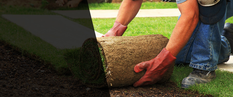 Coatesville Landscapers